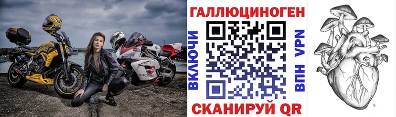 хочу   Магас  Псилоцибиновые грибы Psilocybe 